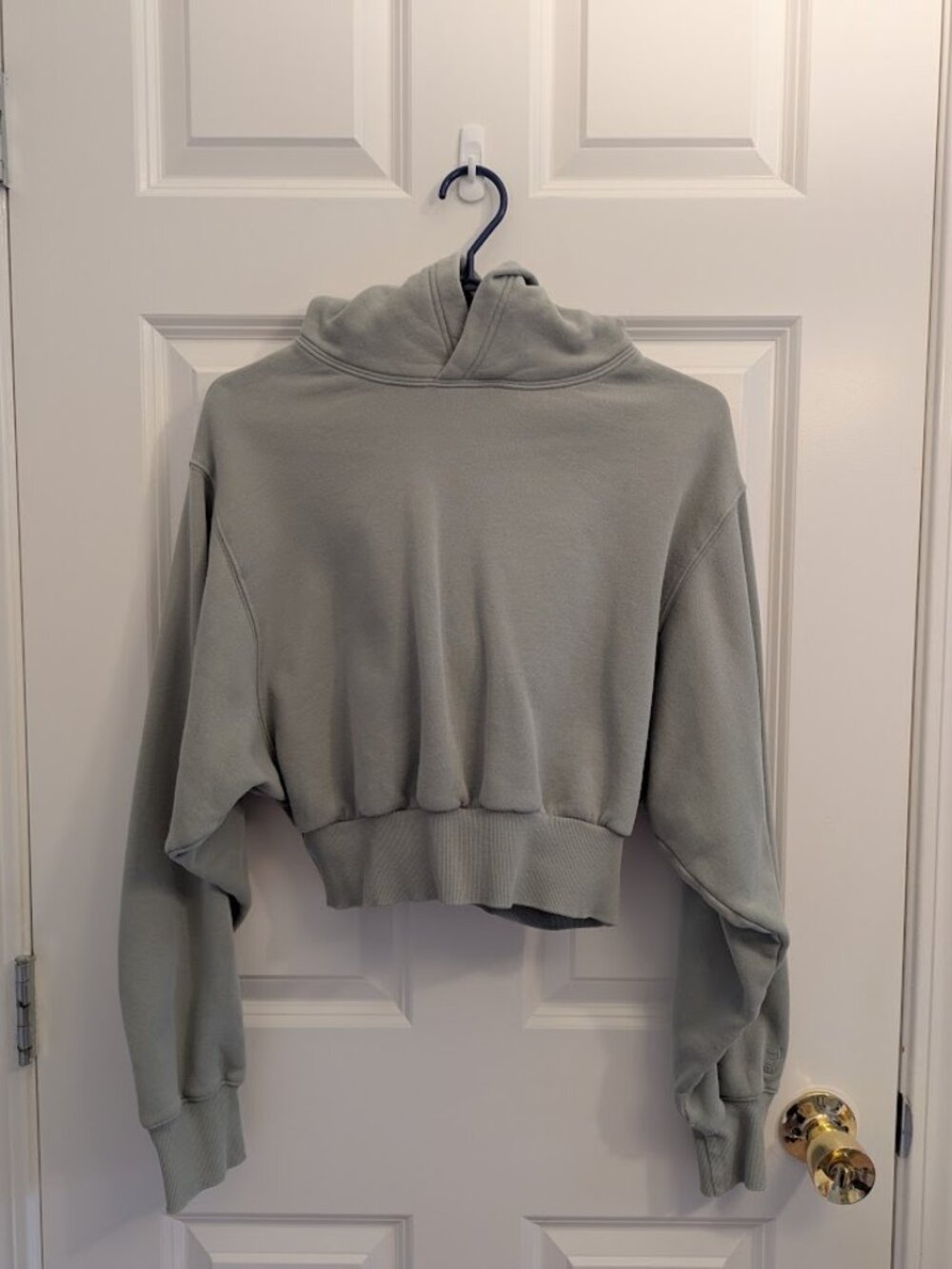 Aritzia TNA Cozy Sweatfleece Perfect Crop Hoodie